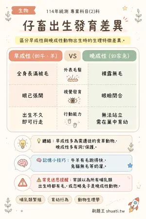 AI 記憶小卡