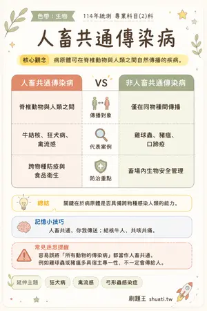 AI 記憶小卡