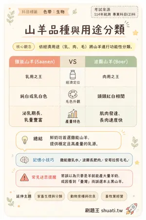 AI 記憶小卡