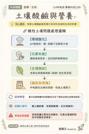 AI 記憶小卡