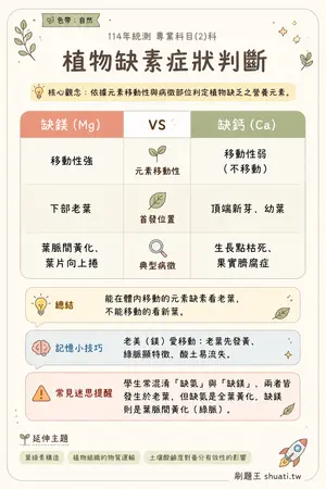 AI 記憶小卡