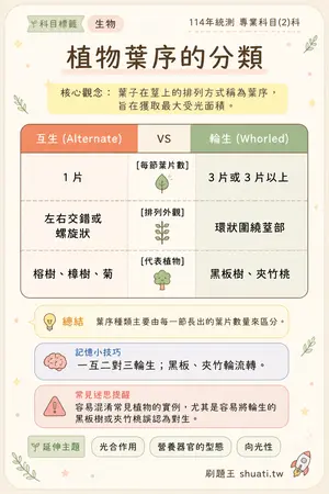AI 記憶小卡