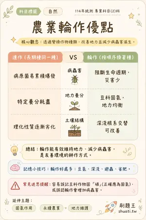 AI 記憶小卡