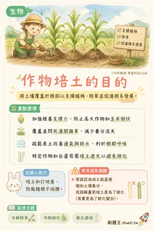 AI 記憶小卡