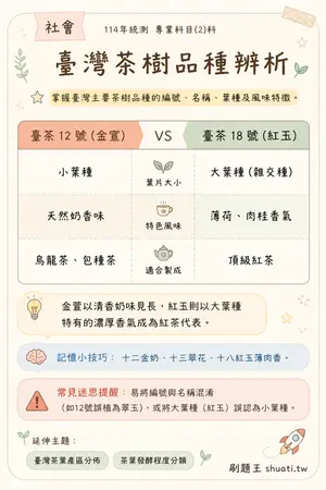AI 記憶小卡