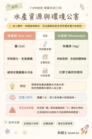 AI 記憶小卡
