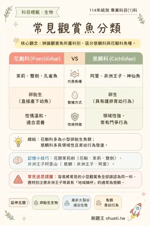 AI 記憶小卡