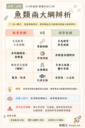 AI 記憶小卡