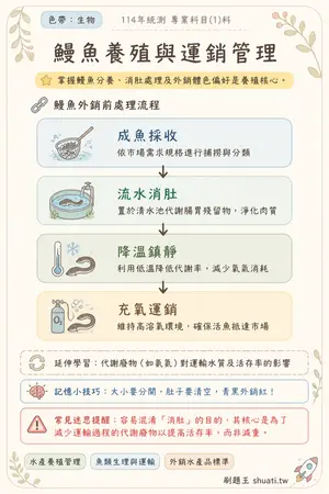 AI 記憶小卡