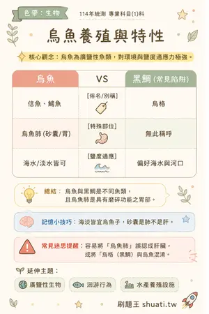 AI 記憶小卡