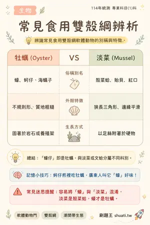 AI 記憶小卡