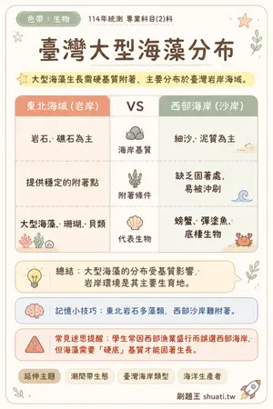 AI 記憶小卡