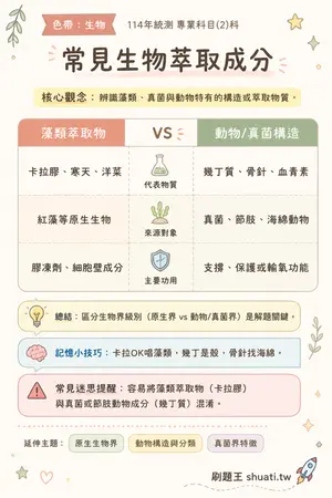 AI 記憶小卡