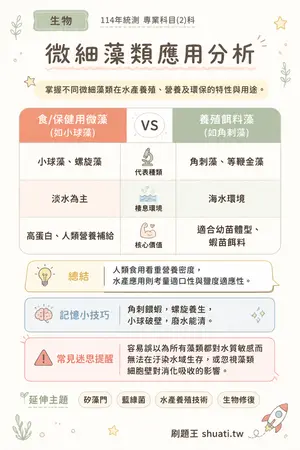 AI 記憶小卡