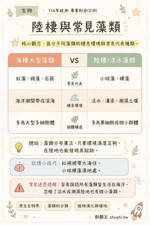 AI 記憶小卡