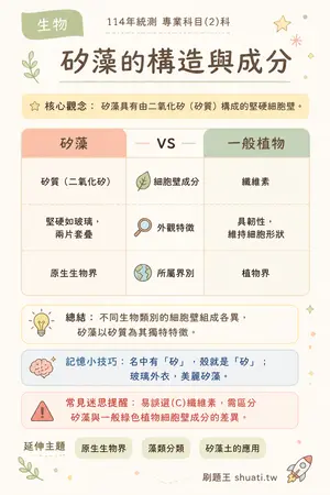 AI 記憶小卡