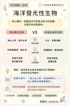 AI 記憶小卡
