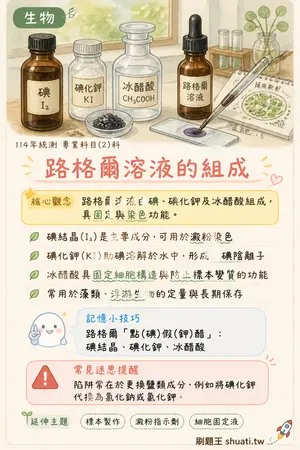 AI 記憶小卡