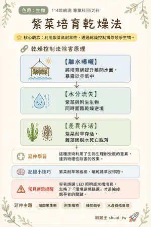 AI 記憶小卡