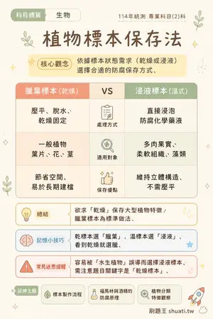 AI 記憶小卡