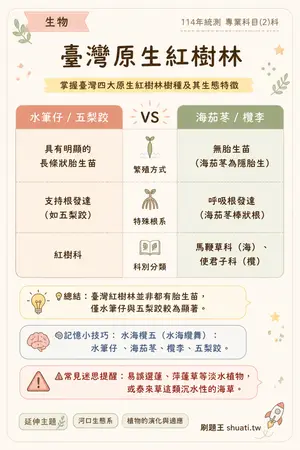 AI 記憶小卡