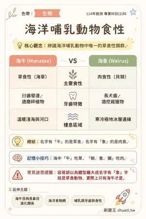 AI 記憶小卡