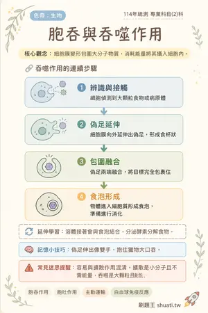 AI 記憶小卡