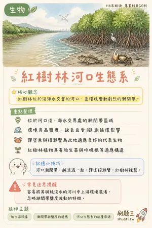 AI 記憶小卡