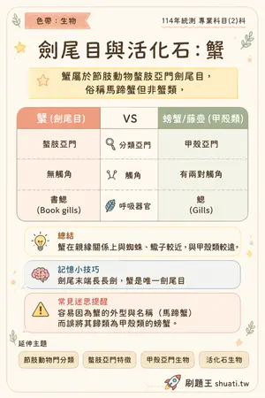 AI 記憶小卡