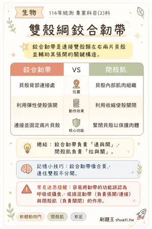 AI 記憶小卡