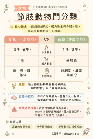 AI 記憶小卡