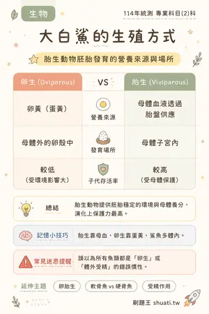 AI 記憶小卡