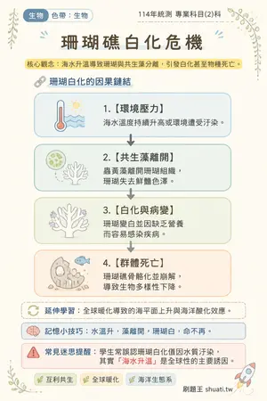 AI 記憶小卡