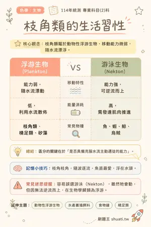 AI 記憶小卡