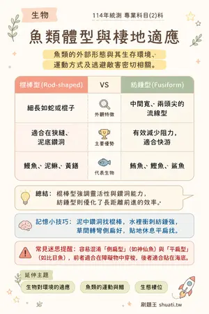 AI 記憶小卡