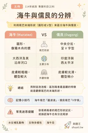 AI 記憶小卡