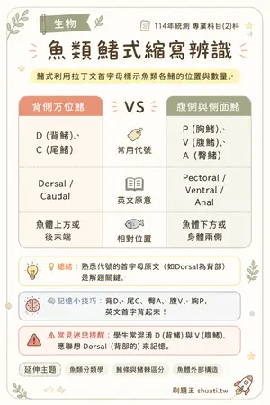 AI 記憶小卡