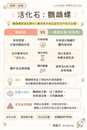 AI 記憶小卡