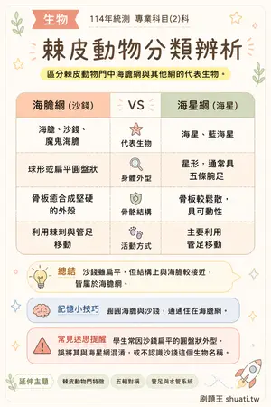 AI 記憶小卡