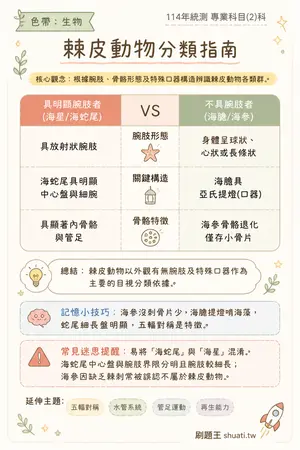 AI 記憶小卡