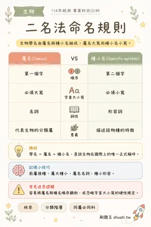 AI 記憶小卡