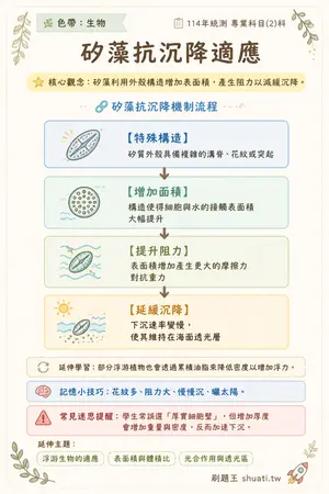 AI 記憶小卡