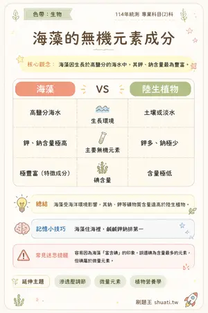 AI 記憶小卡