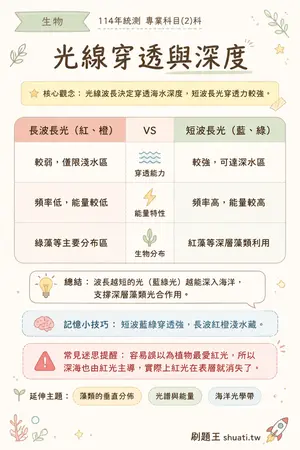 AI 記憶小卡