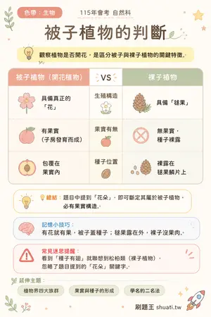 AI 記憶小卡