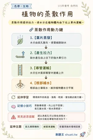 AI 記憶小卡