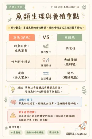 AI 記憶小卡