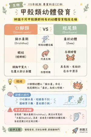 AI 記憶小卡