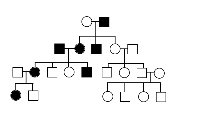 Family pedigree for the inheritance question.