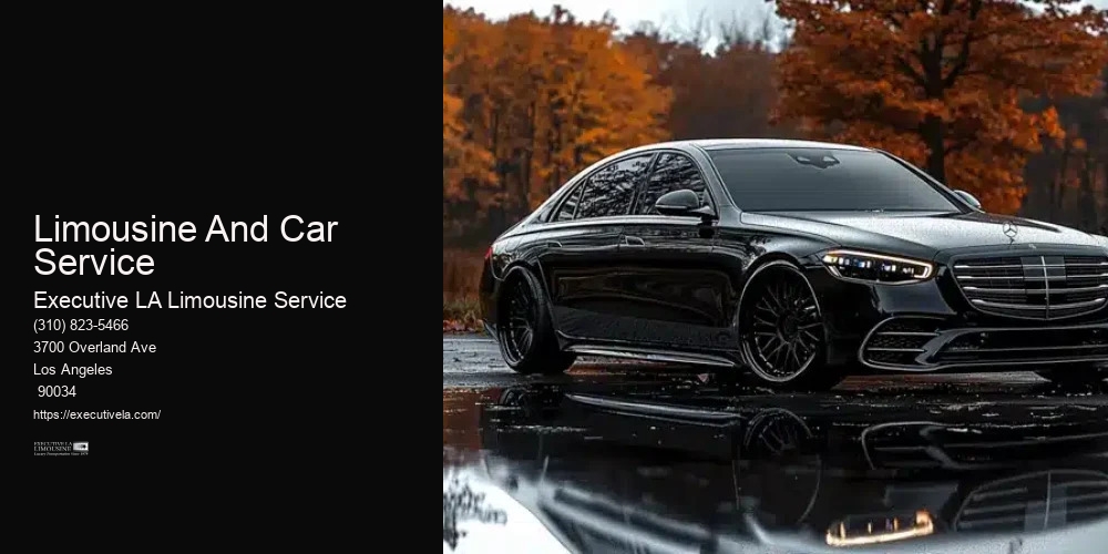 Limousine And Car Service
